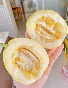 蜜瓜
