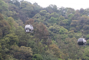 山林间的缆车穿梭