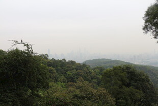 山林景观 绿意盎然