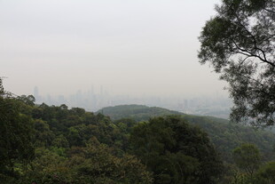 山林远景 绿意盎然