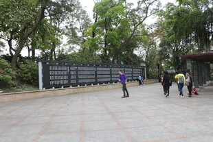 公园入口处的人们及景观