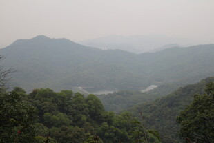 山峦绿树间的朦胧景致