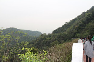 山间观景台游客赏景