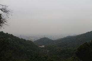 山间雾景 绿意盎然