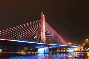 城市夜景中的绚丽斜拉桥