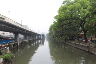 河畔高架桥与繁茂绿树景观