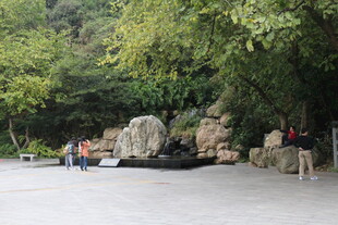 园林景观中的别致石景