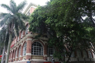 绿树掩映下的复古建筑