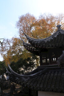 中式古亭 秋景中的典雅建筑