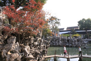 园林假山旁的秋日景致