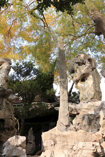 园林假山与树木景观