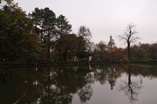 秋日湖边静谧倒影景色