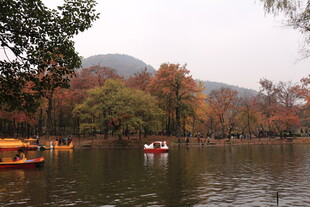 秋日湖畔泛舟美景