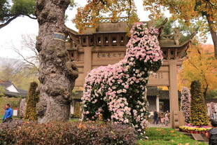 园林中式拱门与开花植物
