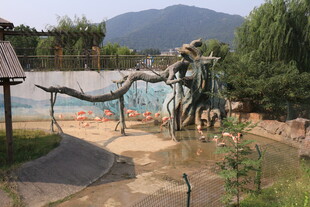 户外雕塑景观 自然与艺术