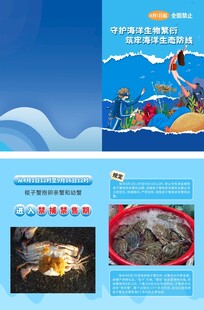 海洋生物科普折页