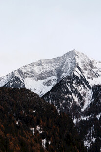雪山与山林的壮丽景致
