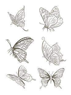 手绘蝴蝶图案集合