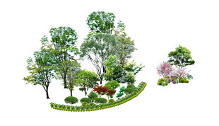 景观灌木乔木绿植矢量图