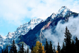 雪山云雾下的森林美景