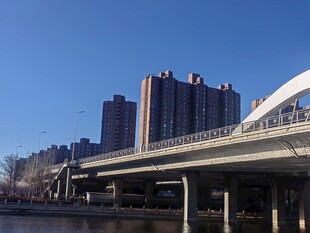 城市桥梁与高楼景致