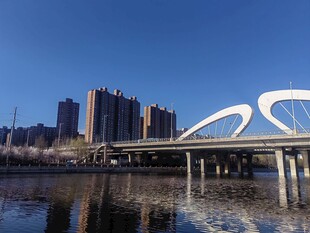 城市河畔现代桥梁景观