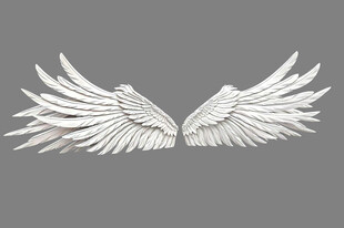 白色羽翼图案设计素材