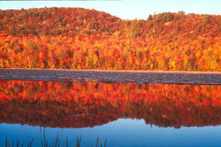 秋日山林湖畔绚丽风光