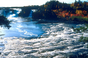 秋日湍急河流与多彩树林
