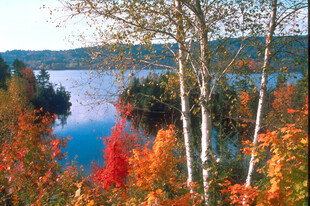 秋日湖畔绚烂秋色美景