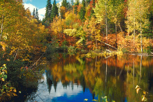 秋日湖畔斑斓树林倒影