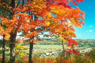 秋日山林绚丽风光