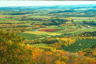 秋日山林田野壮丽风光