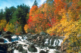 秋日溪流旁的绚烂山林