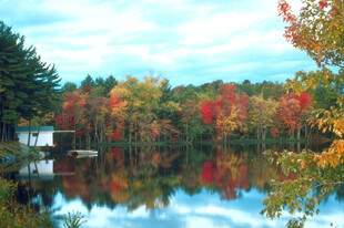 秋日湖畔绚烂秋景