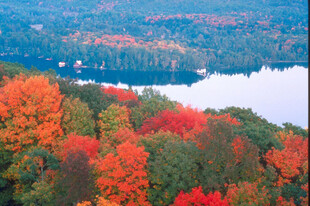 秋日山林湖景绚烂风光