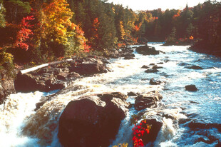 秋日湍急溪流中的多彩景致