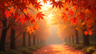 枫叶林的梦幻光影