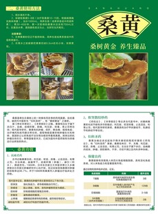 桑黄介绍宣传页