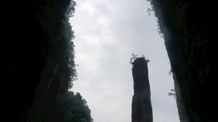 恩施峡谷中高耸的石柱景观