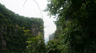 恩施山间绿意盎然的自然景致