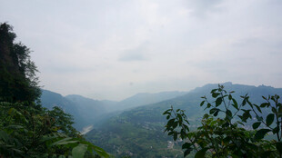 恩施山间绿意 朦胧美景