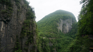 恩施壮丽山景 绿意盎然的峡谷