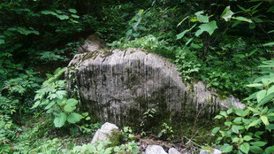 恩施山林间的巨石与繁茂绿植