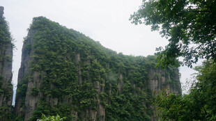 恩施翠绿覆盖的奇特岩石景观