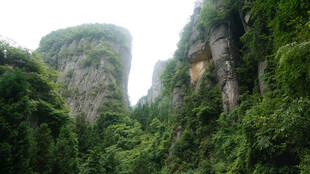 恩施奇峰峻岭间的绿意盎然