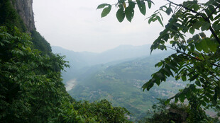 恩施山间绿意风景