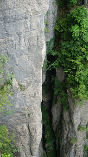 恩施山间峭壁缝隙中的一抹绿意