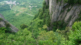 恩施山间翠谷 峭壁绿植相依