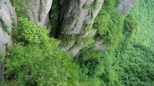 恩施奇峰绿植景观